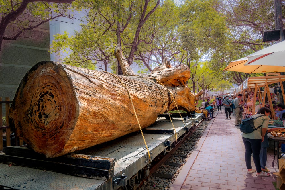 A massive hardwood tree trunk is strapped to train cars at a fair in the Chiayi Heritage Alishan Forestry Village