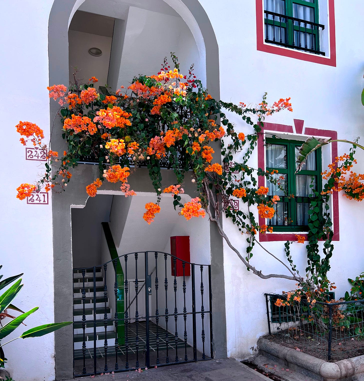 Un rincón en Mogán - Gran Canaria