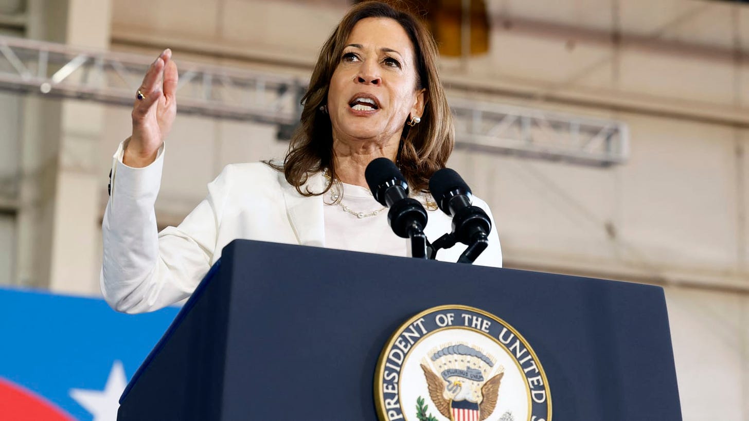 US Vice President and Democratic presidential candidate Kamala Harris speaks during a campaign rally at Detroit Metropolitan Airport in Romulus, Michigan, August 7, 2024. 