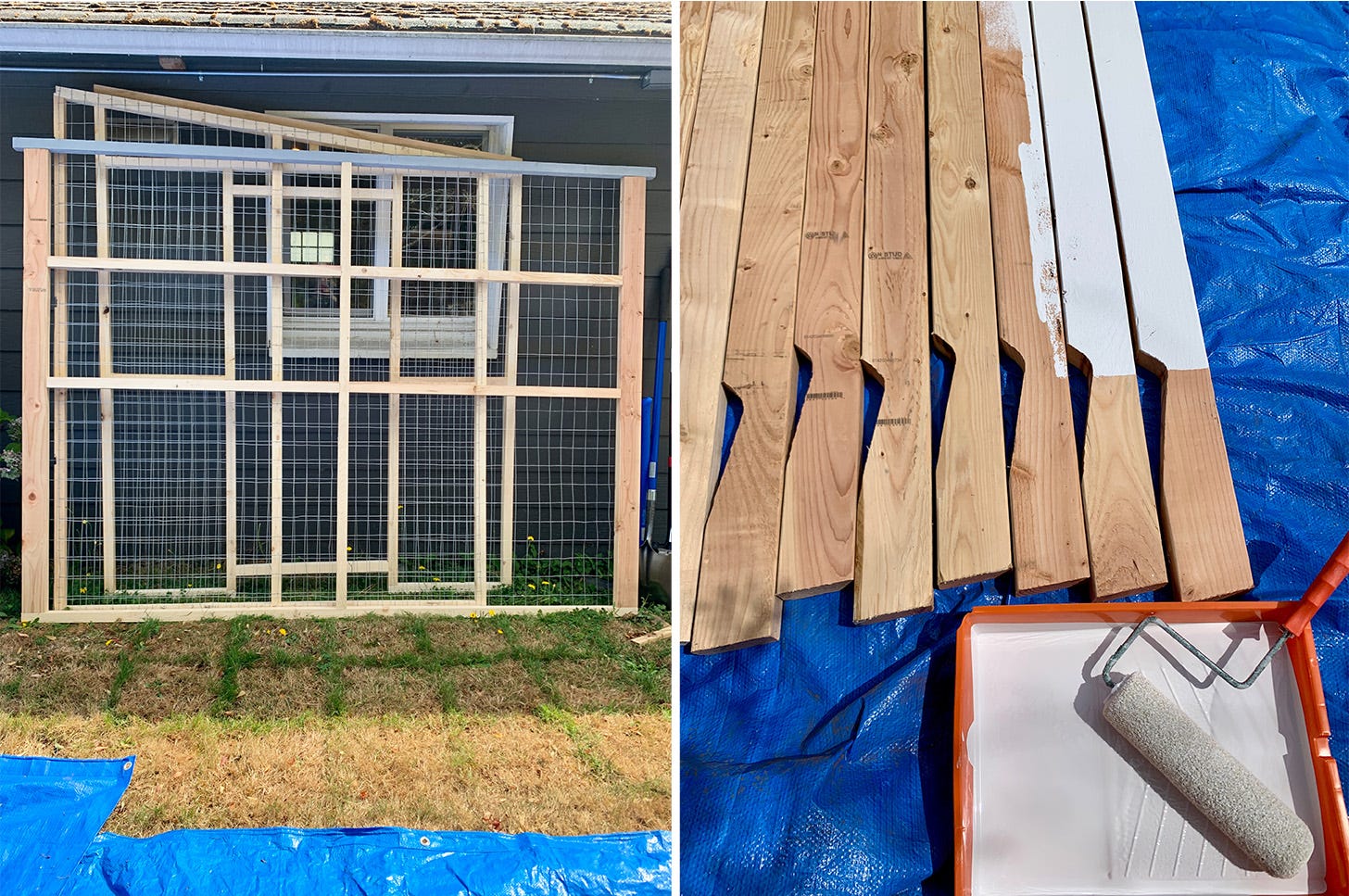 Photos of catio progress