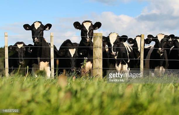 Photo by Sandra Mu/Getty Images News / Getty Images