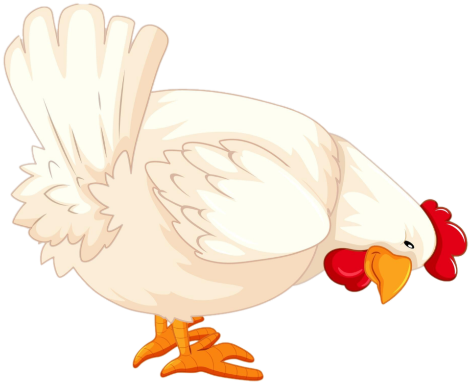 Cartoon of a chicken bending so its body is aligned perpendicular to its legs, facing to the right and looking down at the ground, with its tail feathers playfully sticking up.  The chicken appears to be happy.