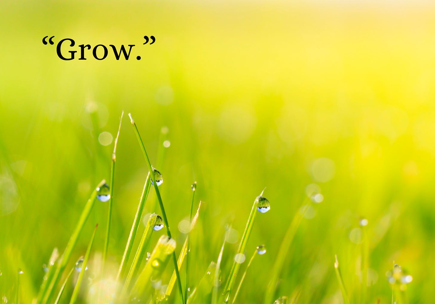 Blades of grass with droplets of water and the text "Grow."