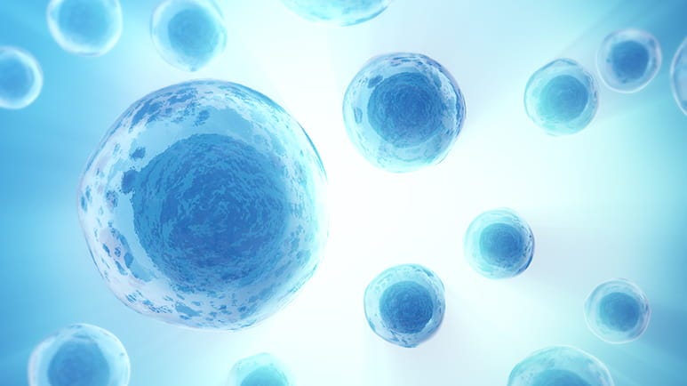 restoring cellular energy part 2