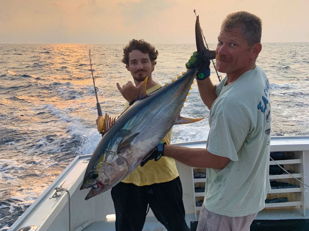 late-season yellowfin