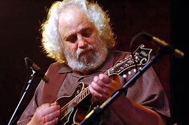 Image result for david grisman