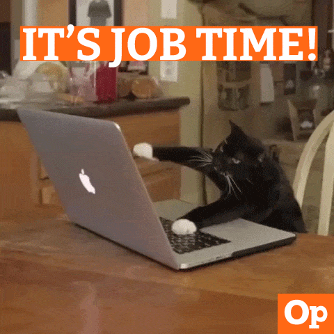 A cat furiously typing. Caption - It's job time