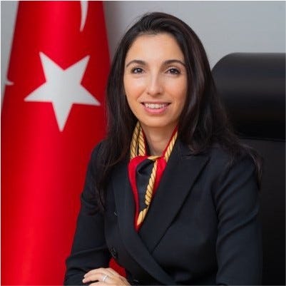 Hafize Gaye Erkan - Central Bank of the Republic of Türkiye | LinkedIn