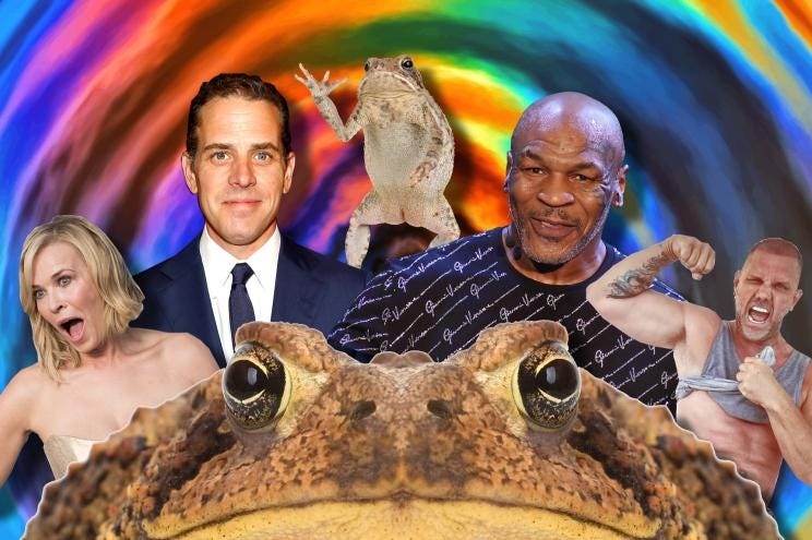 Toad-ally nuts? Celebs from Mike Tyson to Hunter Biden have touted toad venom as a cure-all, but stars like Chelsea Handler disagree.