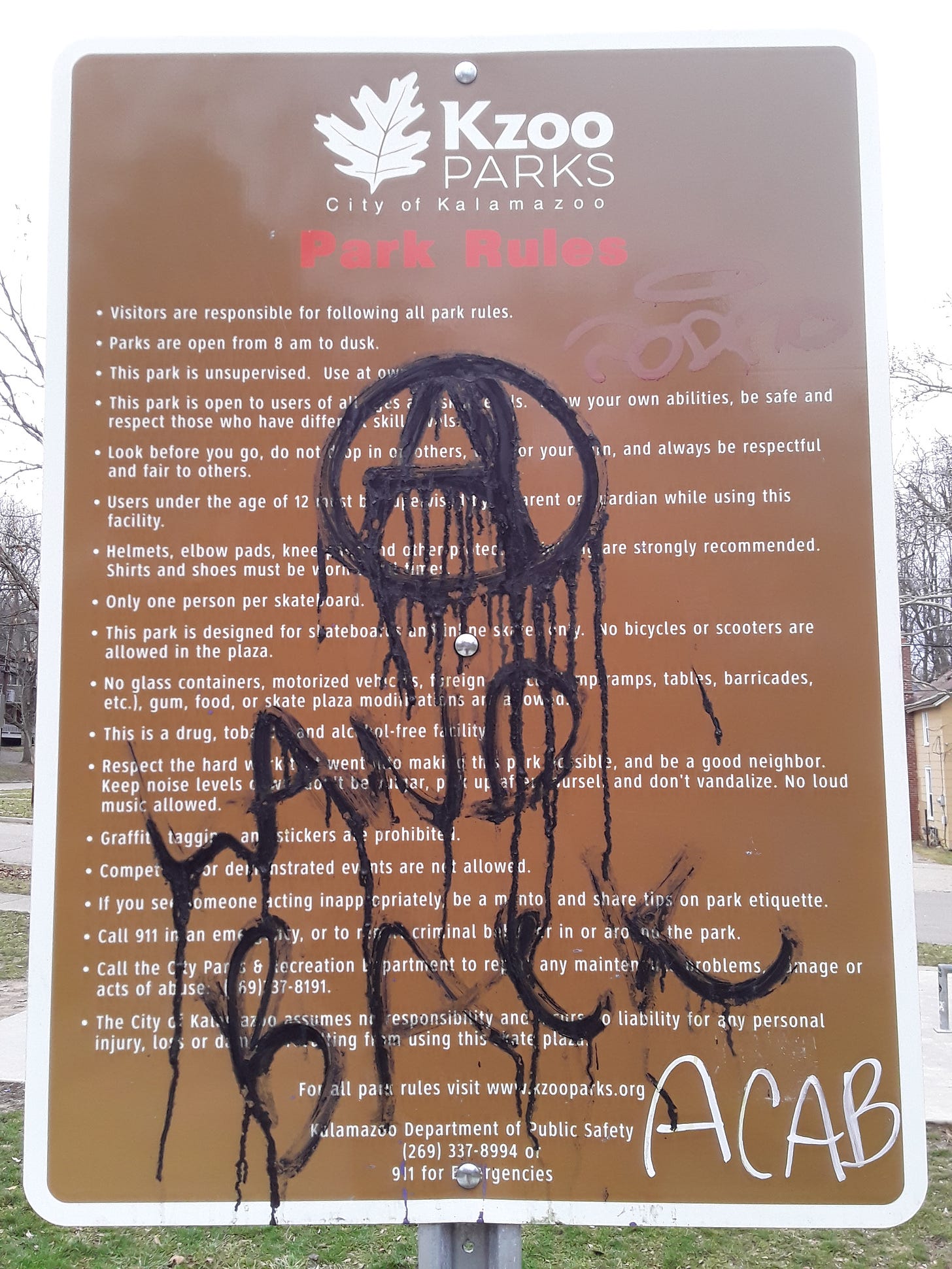 Before graffiti removal photograph of Davis Street Park rules sign on Sunday, January 8, previously posted on my campaign Facebook page.