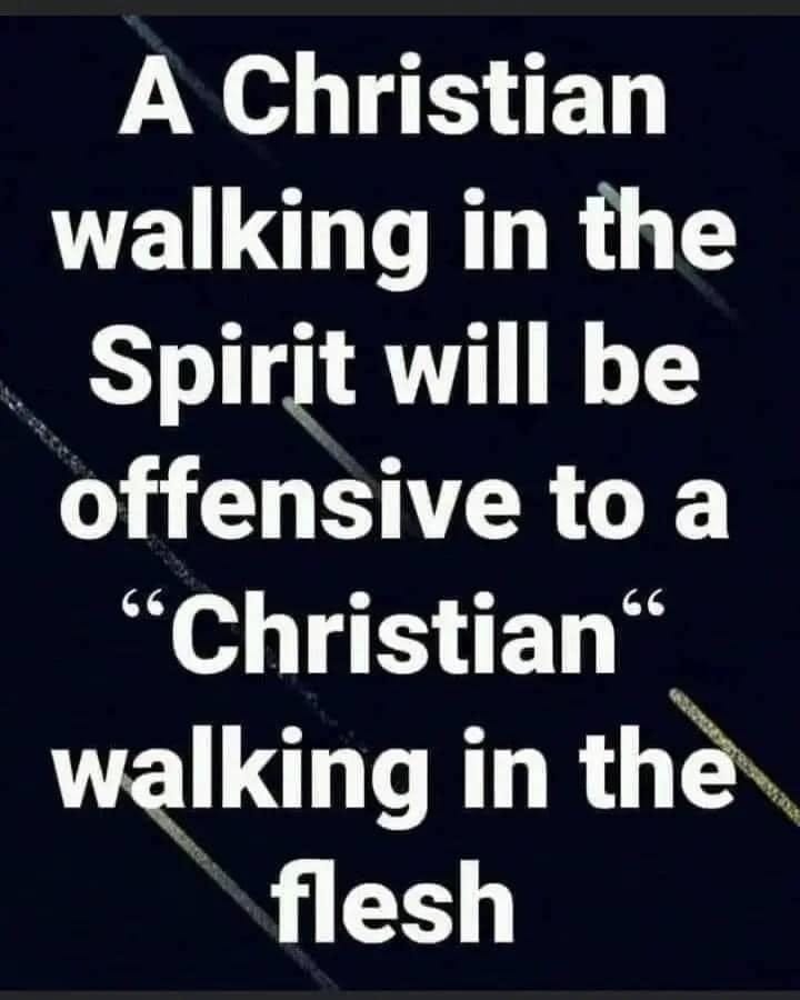 May be an image of text that says "A Christian walking in the Spirit will be offensive to a "Christian' walking in the flesh"