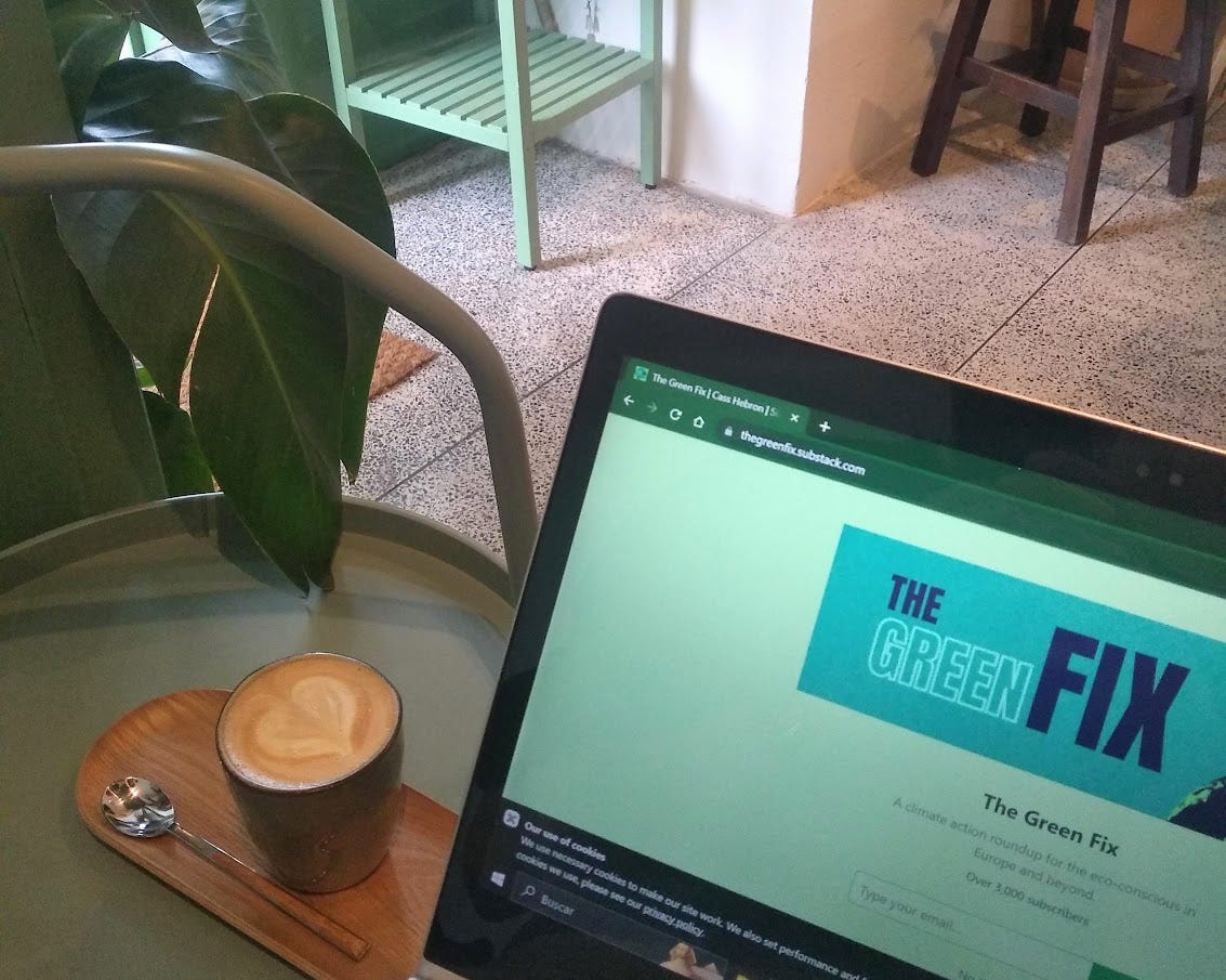 A laptop with The Green Fix open next to a green table with a flat white coffee on a wooden tray. Plants are in the background.