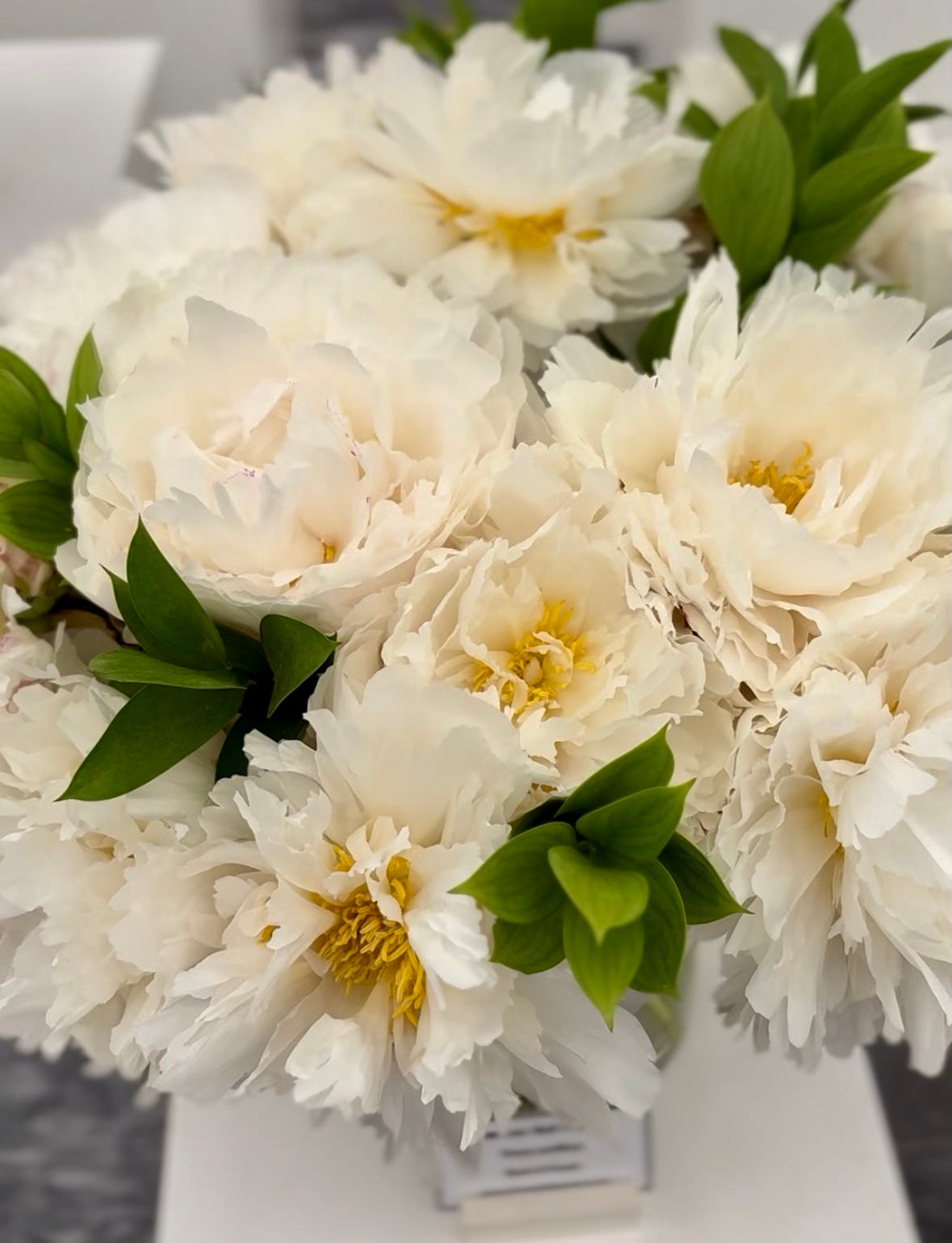 White flowers from Peony lactiflora ‘Bowl of Cream’ on display at a garden show