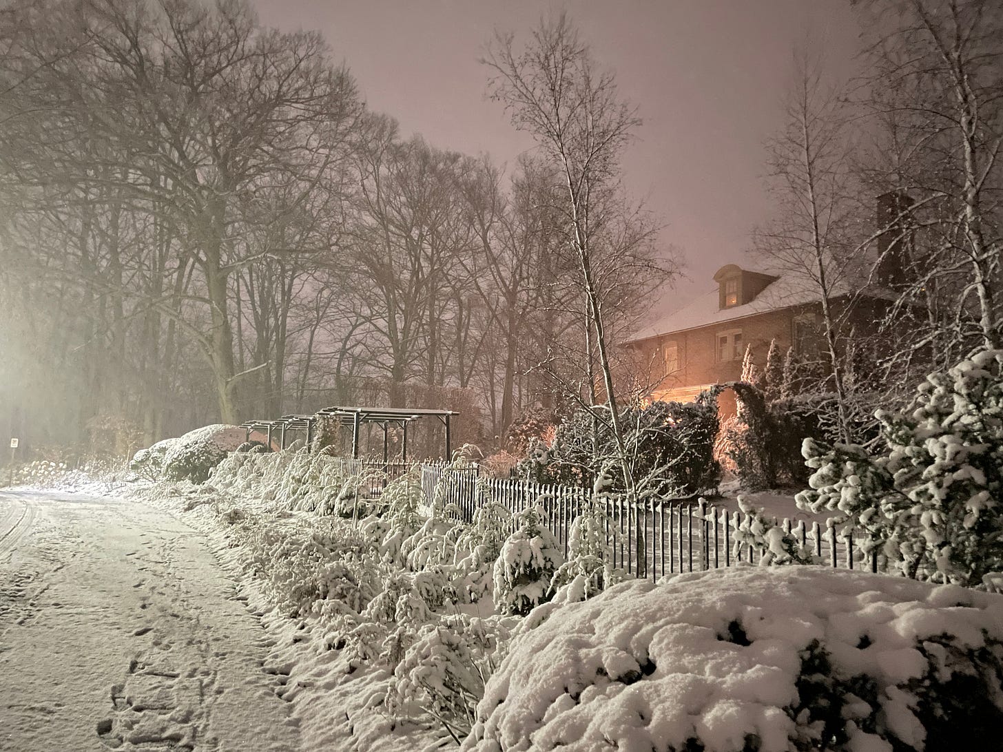 The Birch Walk and Cottage Garden from the street during a snow storm