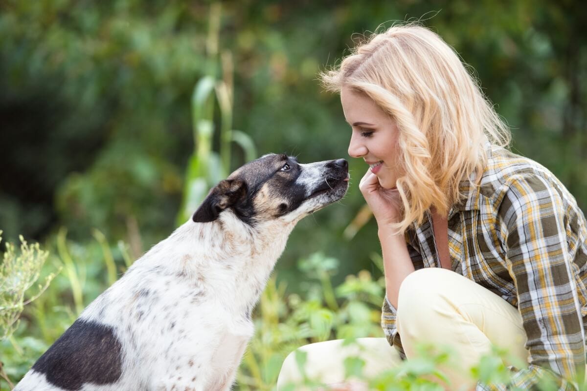 Dog kiss