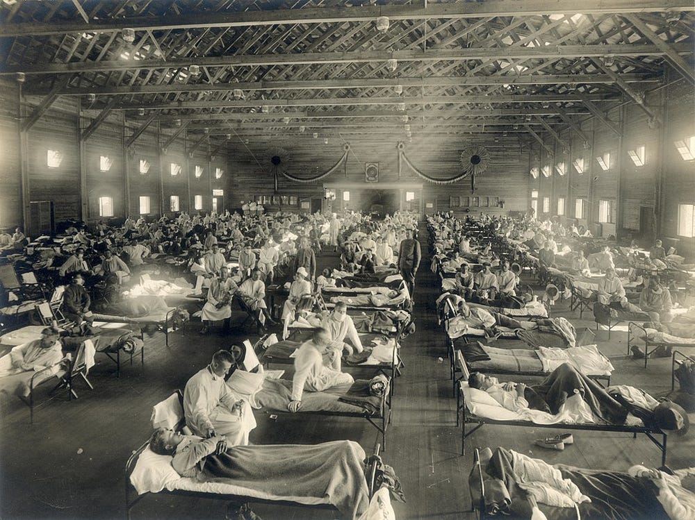 1918 Influenza and Biological Warfare
