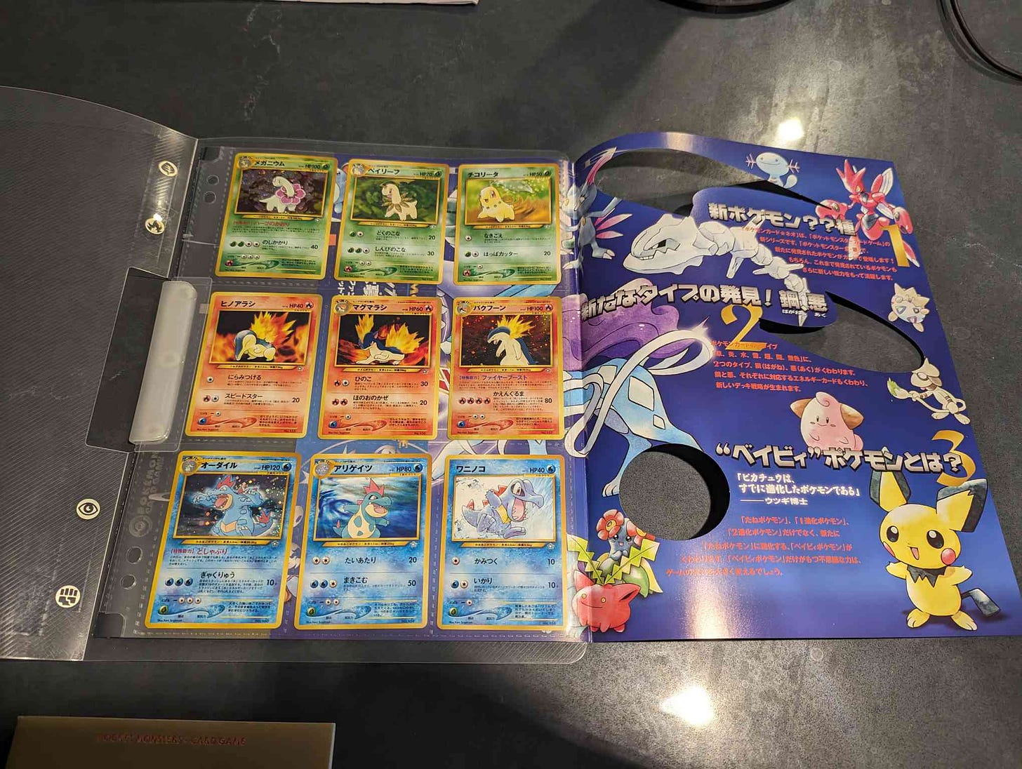 A photograph inside of Jaxel's Japanese Neo Genesis Premium File, showing Pokémon cards of all nine Johto starters, and their evolutions