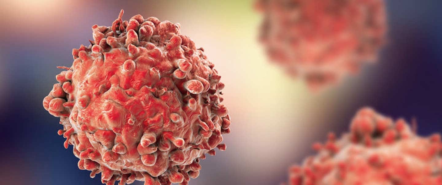 Understanding Cancer - University of Illinois Cancer Center