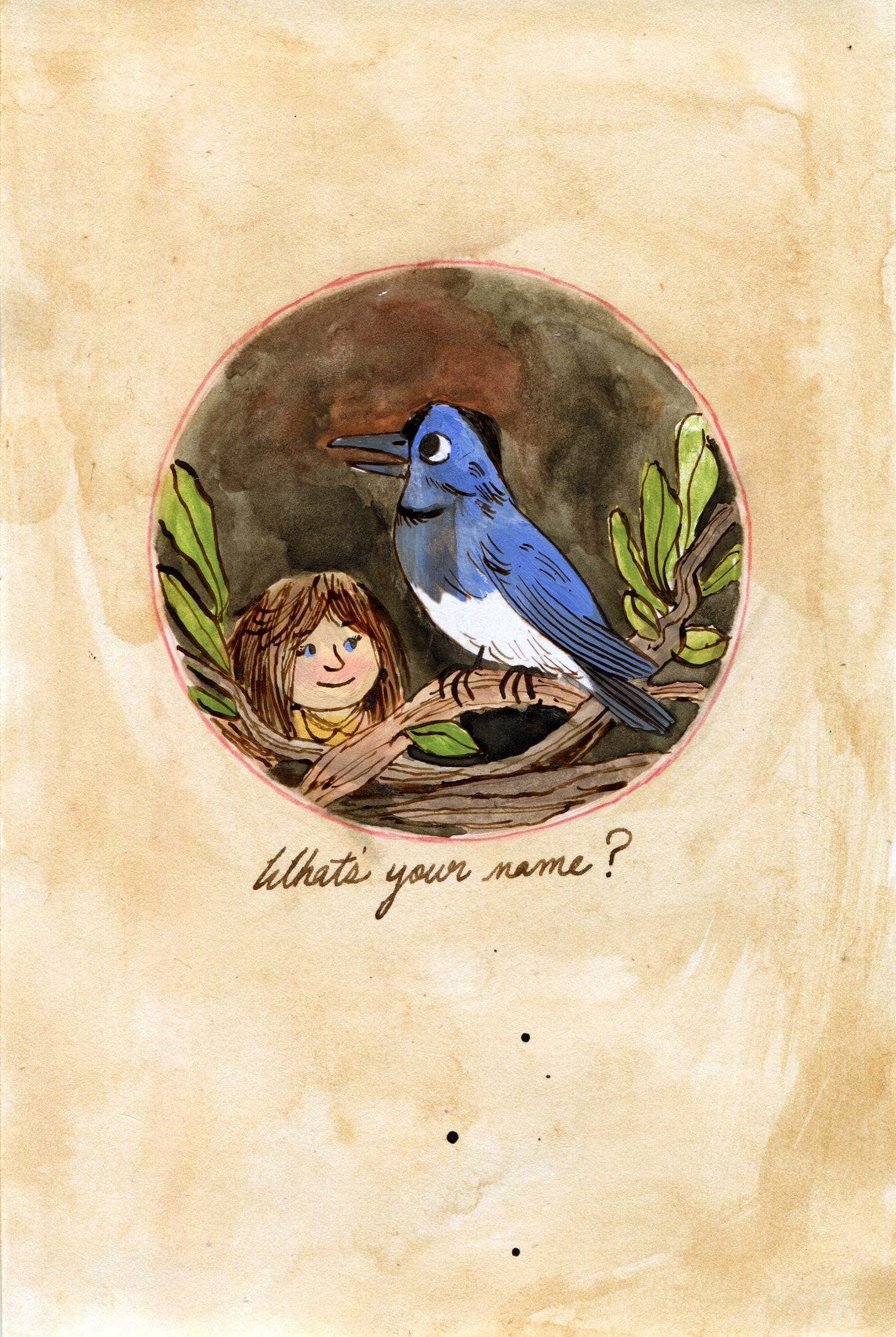Black Naped Blue Monarch illustration by Kayla Stark