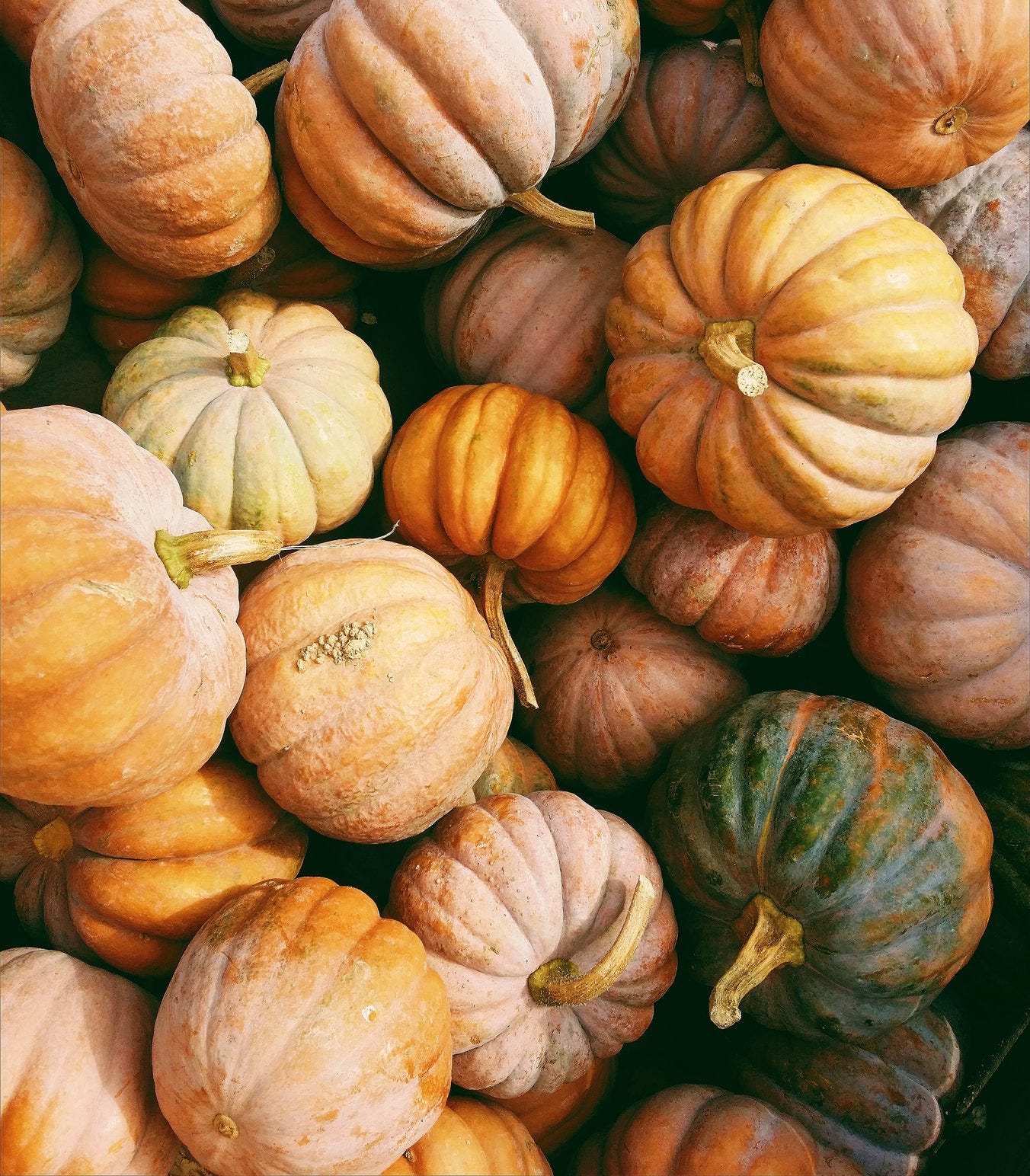 A collection of pumpkins of different colours and sizes.