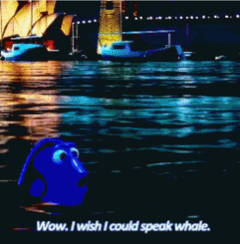 A picture of Dory from Finding Dory. Caption: "Wow. I wish I could speak whale."