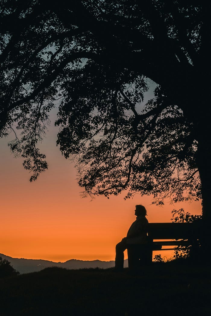 Person sitting on a bench, under a tree.