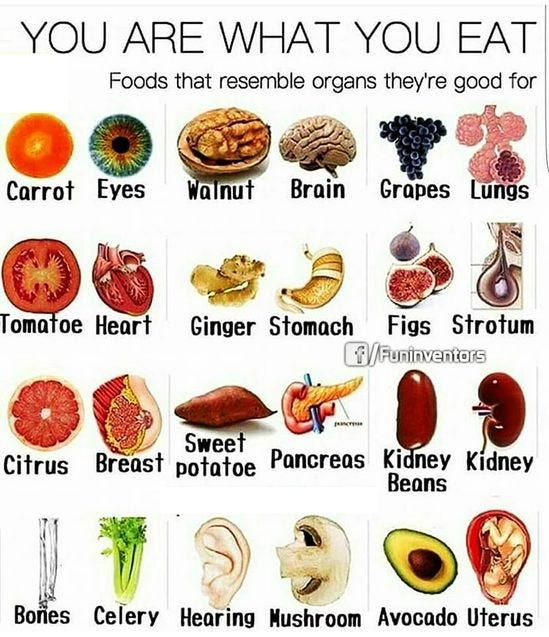 24 Foods That Resemble Organs ideas | health, food, nutrition