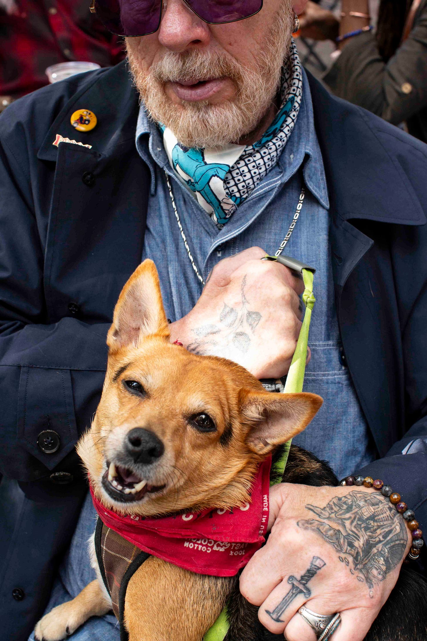 Dogs Just Exist (and cats can't read) by Simon Bohrsmann