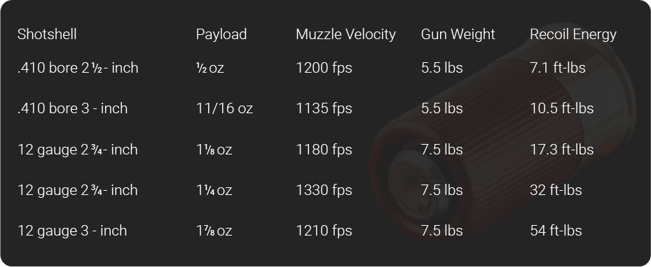 410 vs 12 gauge recoil