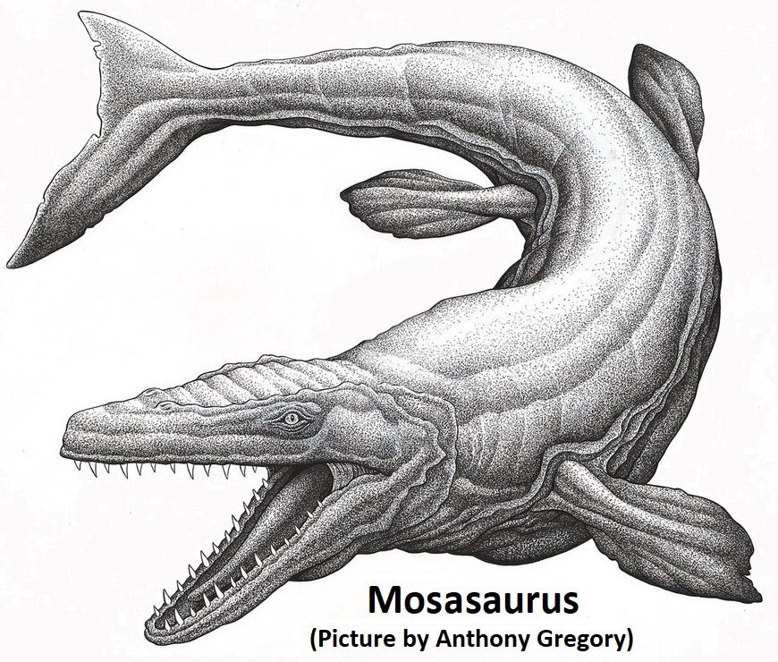 Ancient Plesiosaur and Mosasaur Depictions | Genesis Park