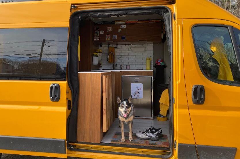 Scout the blue heeler poses inside the open sliding door of our yellow converted camper van