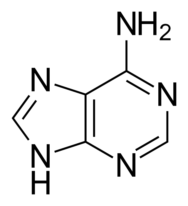 Adenine - Wikipedia