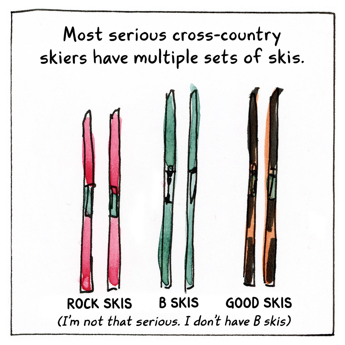 Diary comic by K. Woodman-Maynard reading: Most serious cross-country skiers have multiple sets of skis. Rock skis, B skis, Good skis (I’m not that serious. I don’t have B skis)