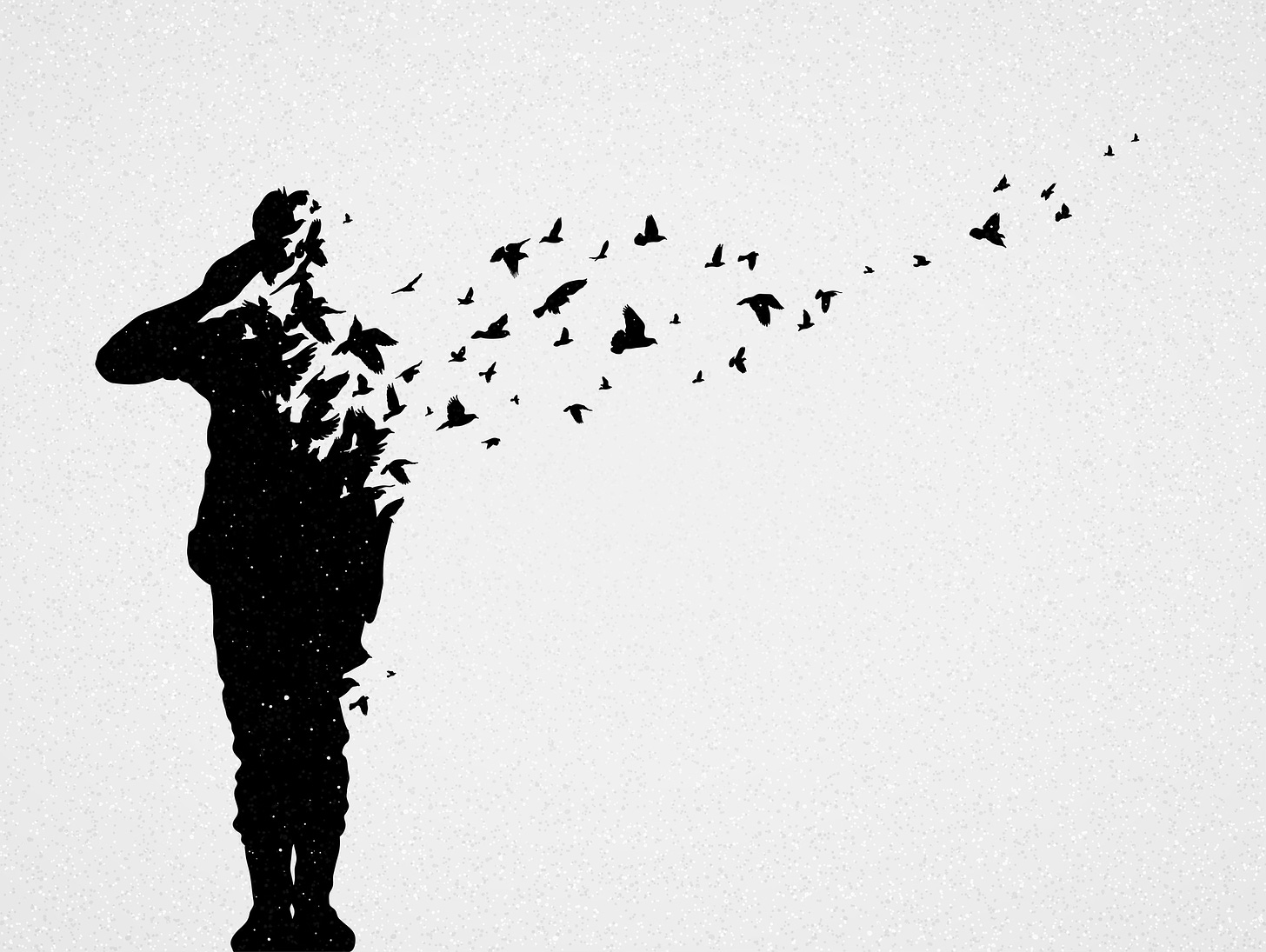 silhouette of a soldier saluting while he fragments into birds flying away