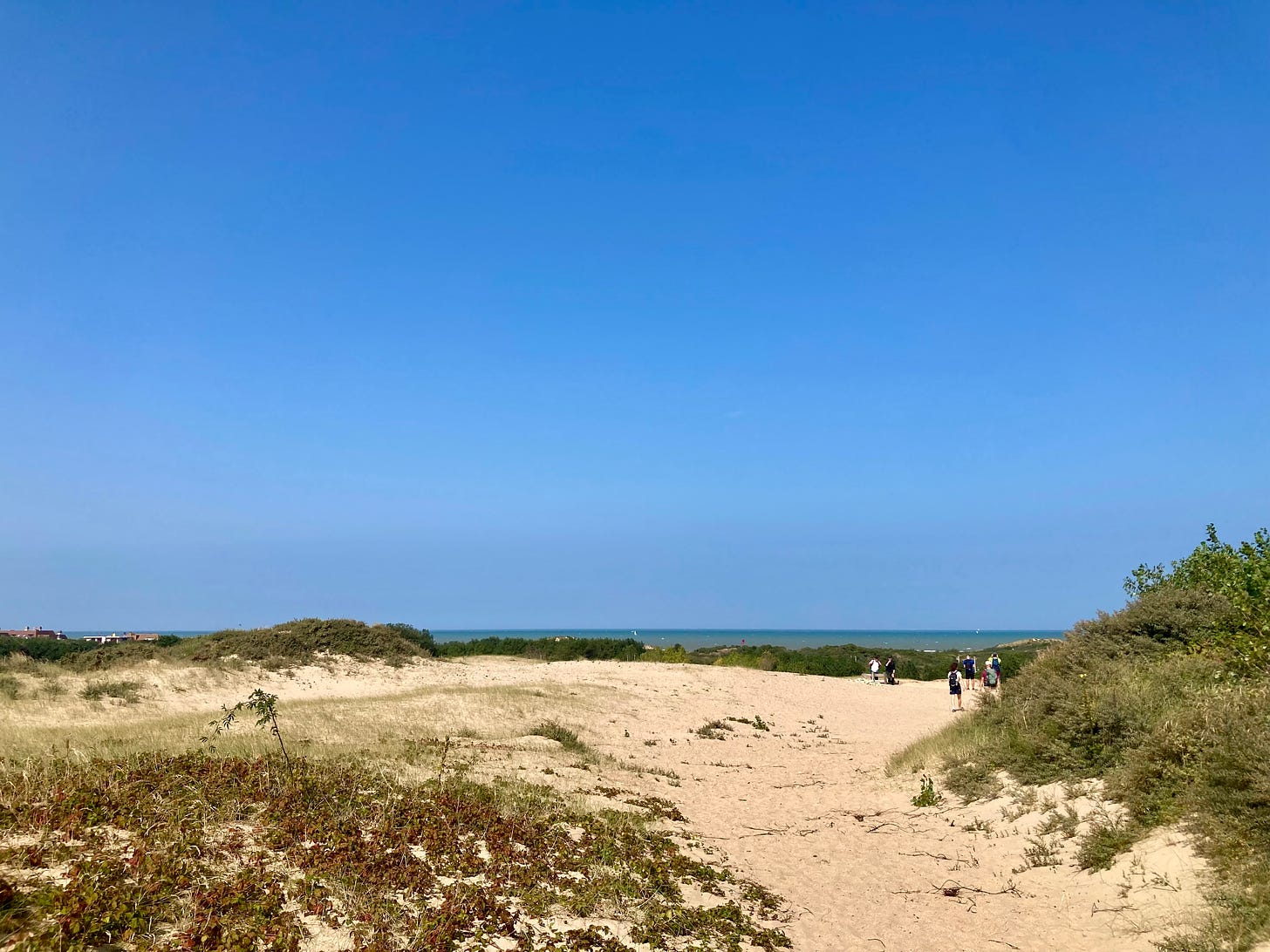 sand dunes overlooking the sea