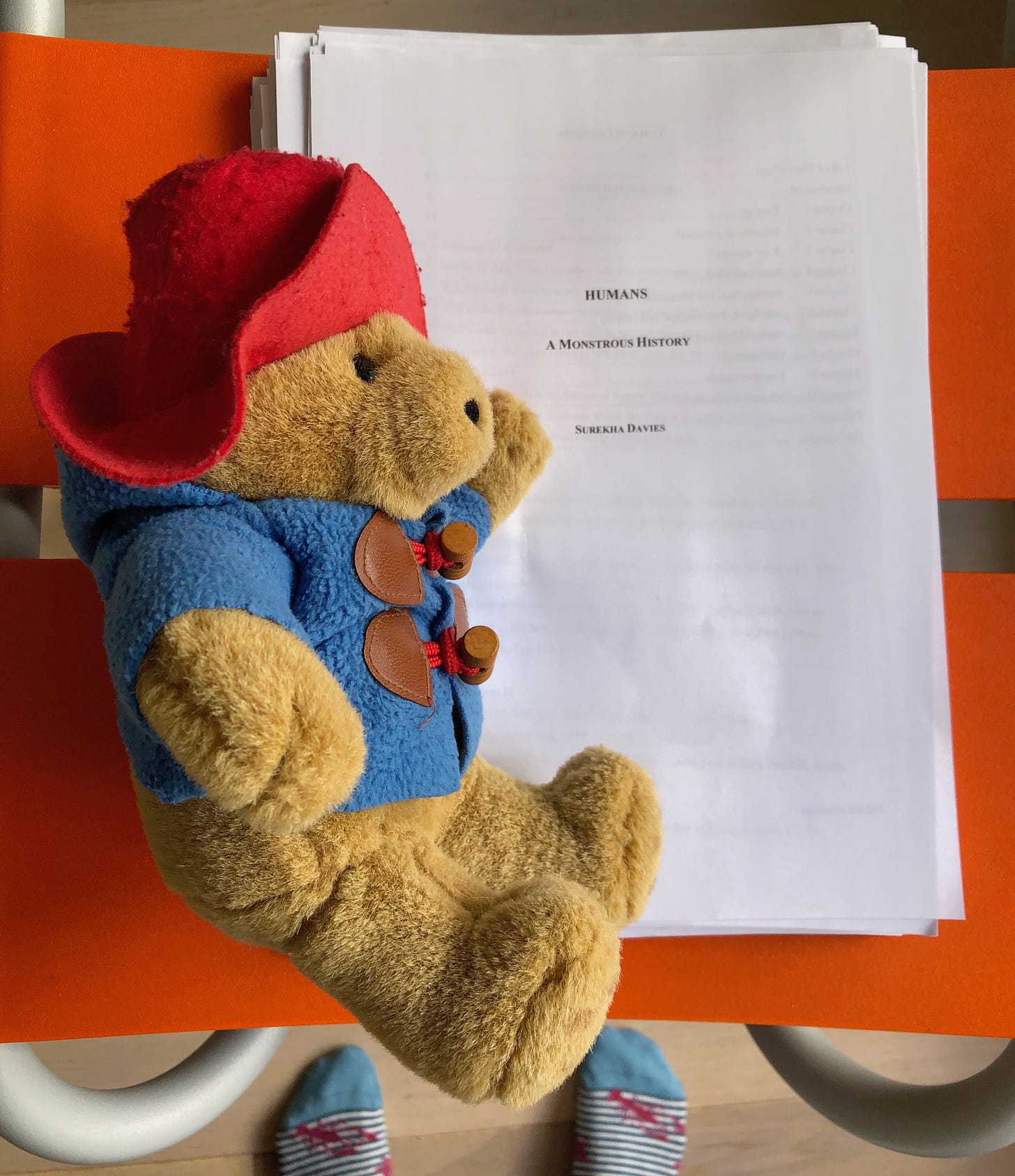 A bear in a floppy hat and duffle coat lies on a printout of a book manuscript on a chair. A pair of feet in stripy lobster socks is visible under the chair.