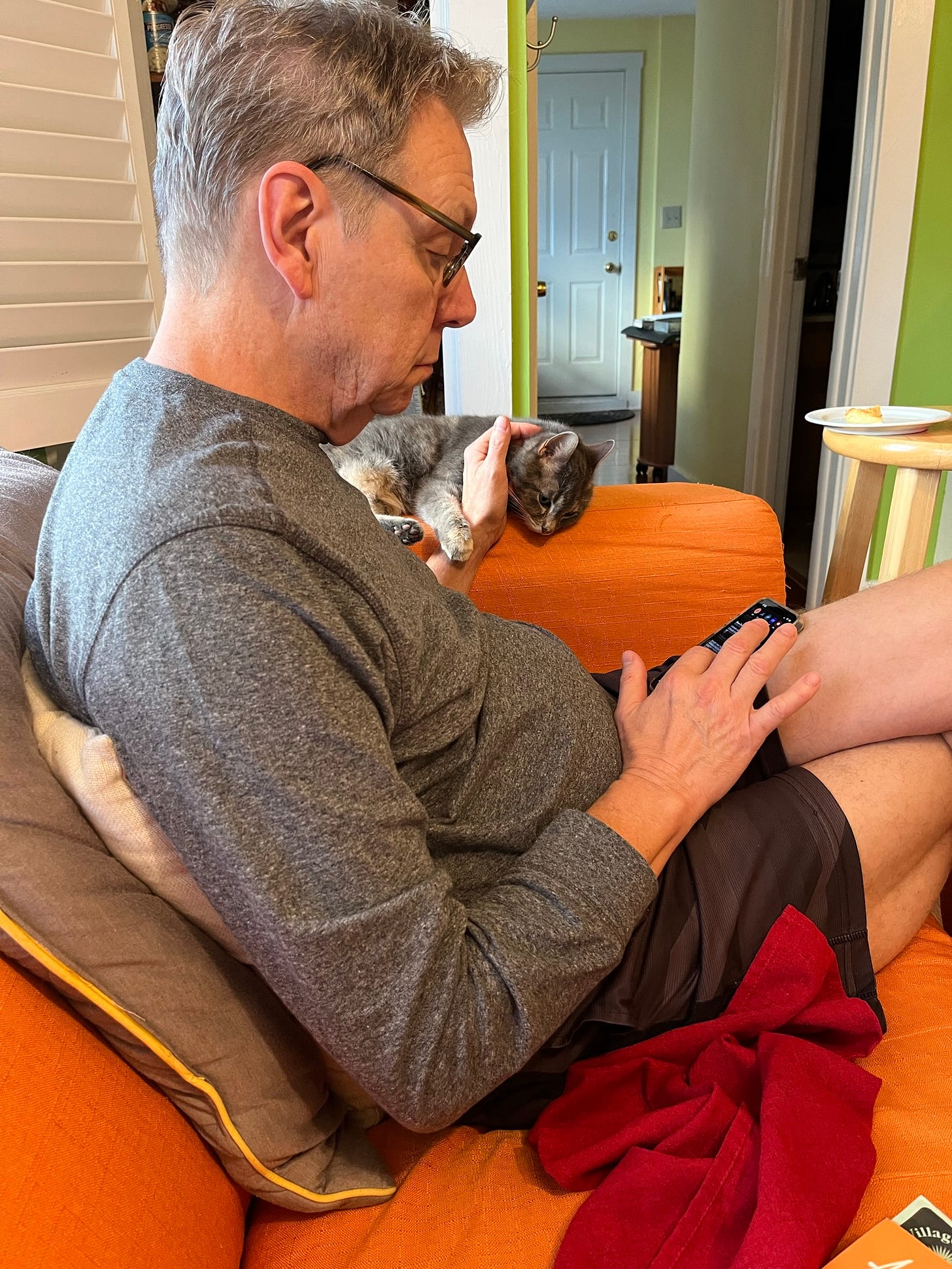 Jeff, sitting on a couch, looking at his phone in his lap, while his other hand is curled around our cat Gilly, who is sitting on the arm of the couch