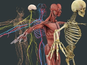 Expert Consultants in Biomechanics | Fusion Engineering