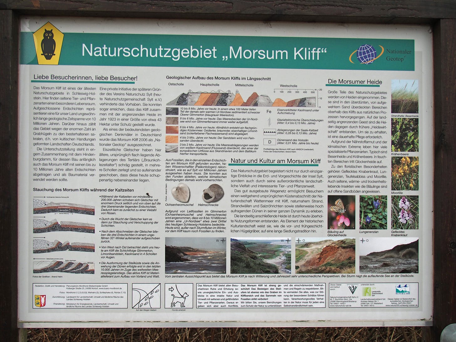 Photo of the info panel about the geological phenomenon of the cliffs. It is in german in small print too small to read. There are pictures of the different colored sands and graphs and examples of the local flora and fauna. 