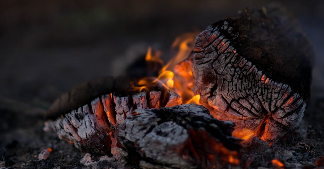 close photography of burning wood