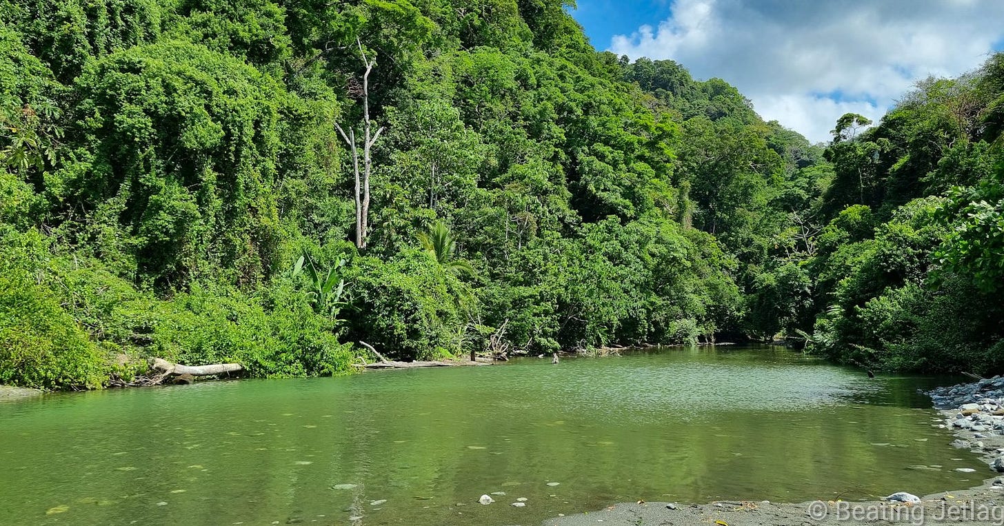 A jungle river in Corcovado National Park, Osa Peninsula, Costa Rica