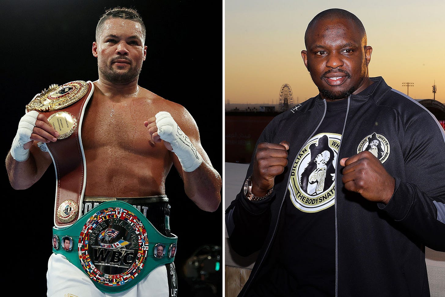 Joe Joyce calls out Dillian Whyte for September all-British heavyweight  thriller as he puts Anthony Joshua beef on ice | The Sun