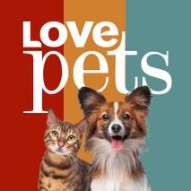 Love Pets