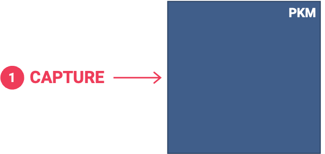 Personal Knowledge Management System: Capture System