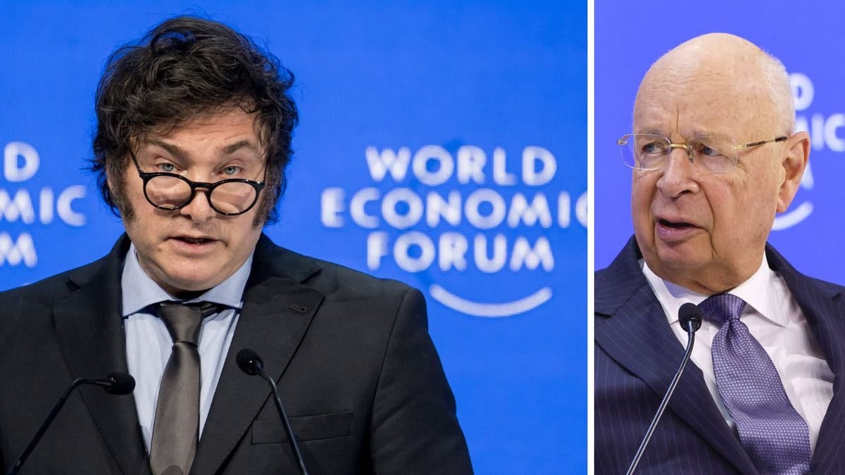 Milei warns WEF to reject socialism, says 'Western world is in danger' |  Fox News