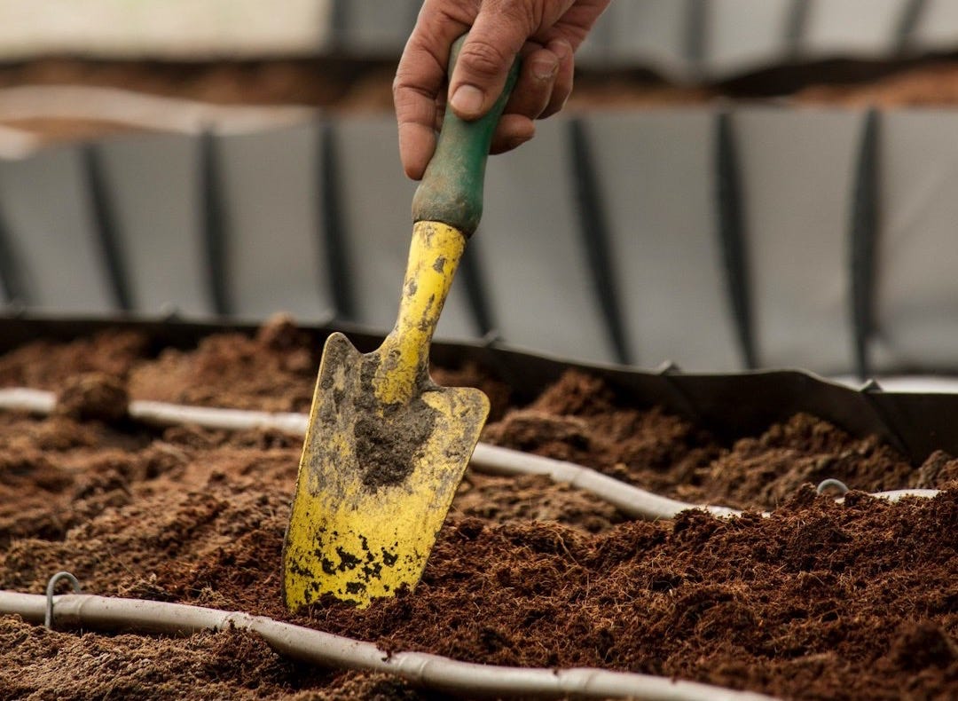 person holding yellow and green gardening shovel person holding yellow and green gardening shovel
