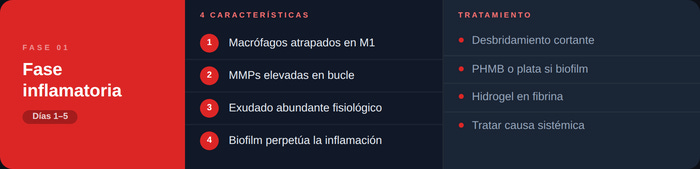 Diagrama fase inflamatoria de la cicatrización