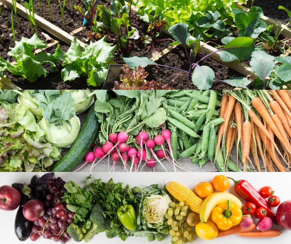 Seasonal vegetables showing spring, summer and fall