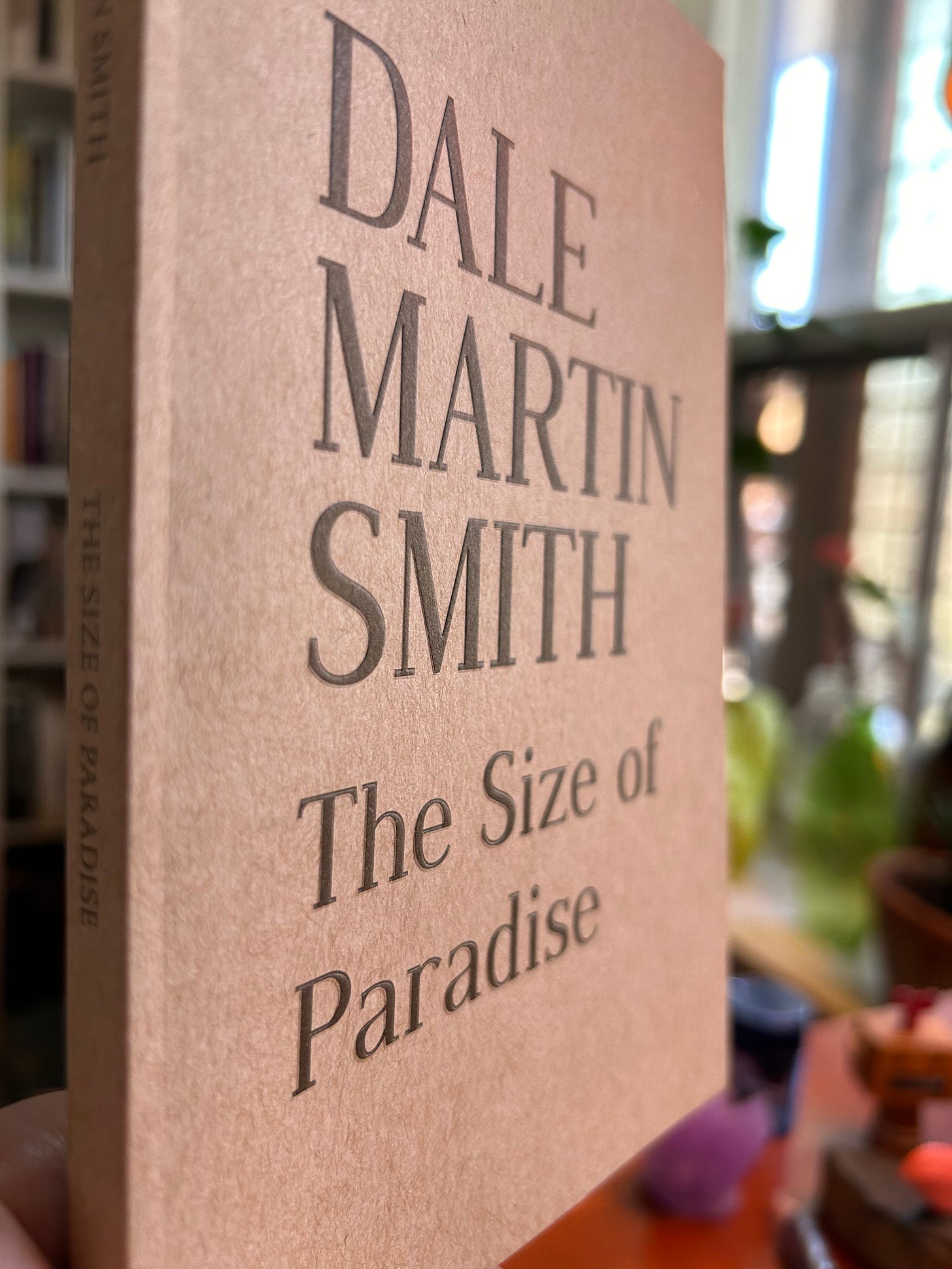 Dale Martin Smith: The Size of Paradise