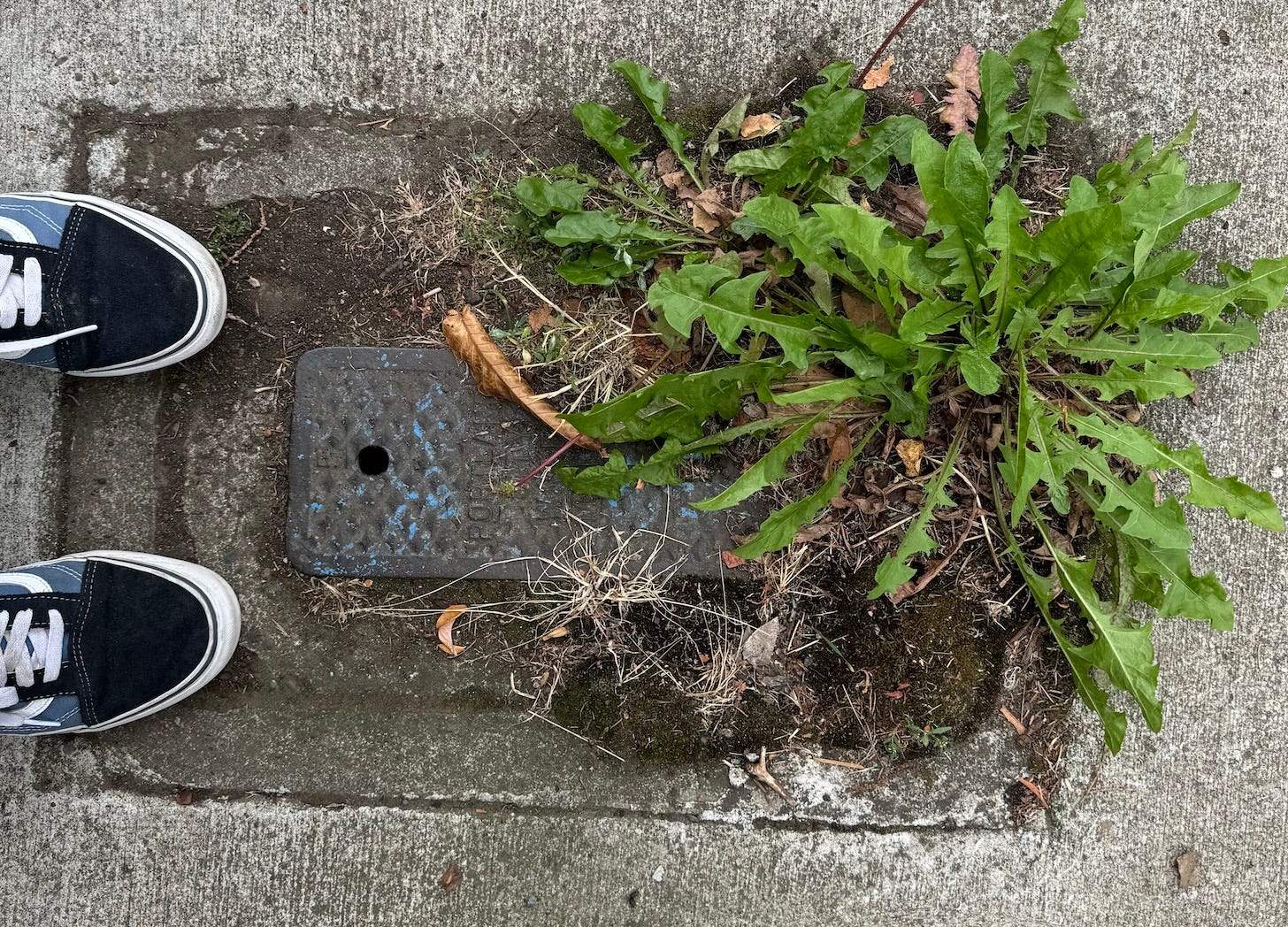 What happened to higher powers? by Katy Cryer